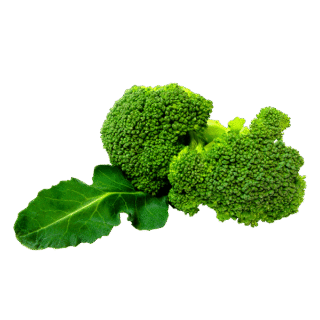 Organic Broccoli